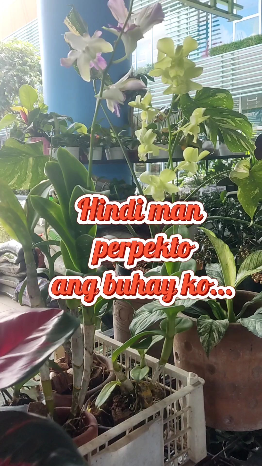 Salamat Sa Diyos