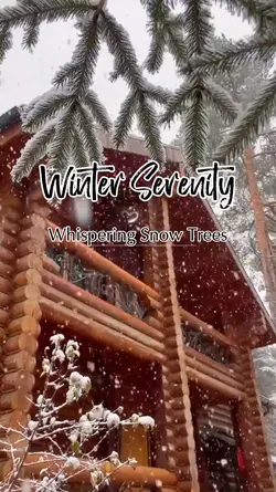 Winter Serenity