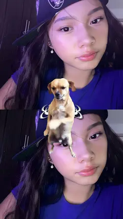 Trend sa curi² panda