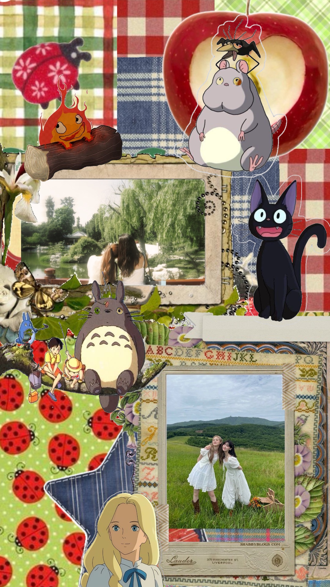 Cover Picture