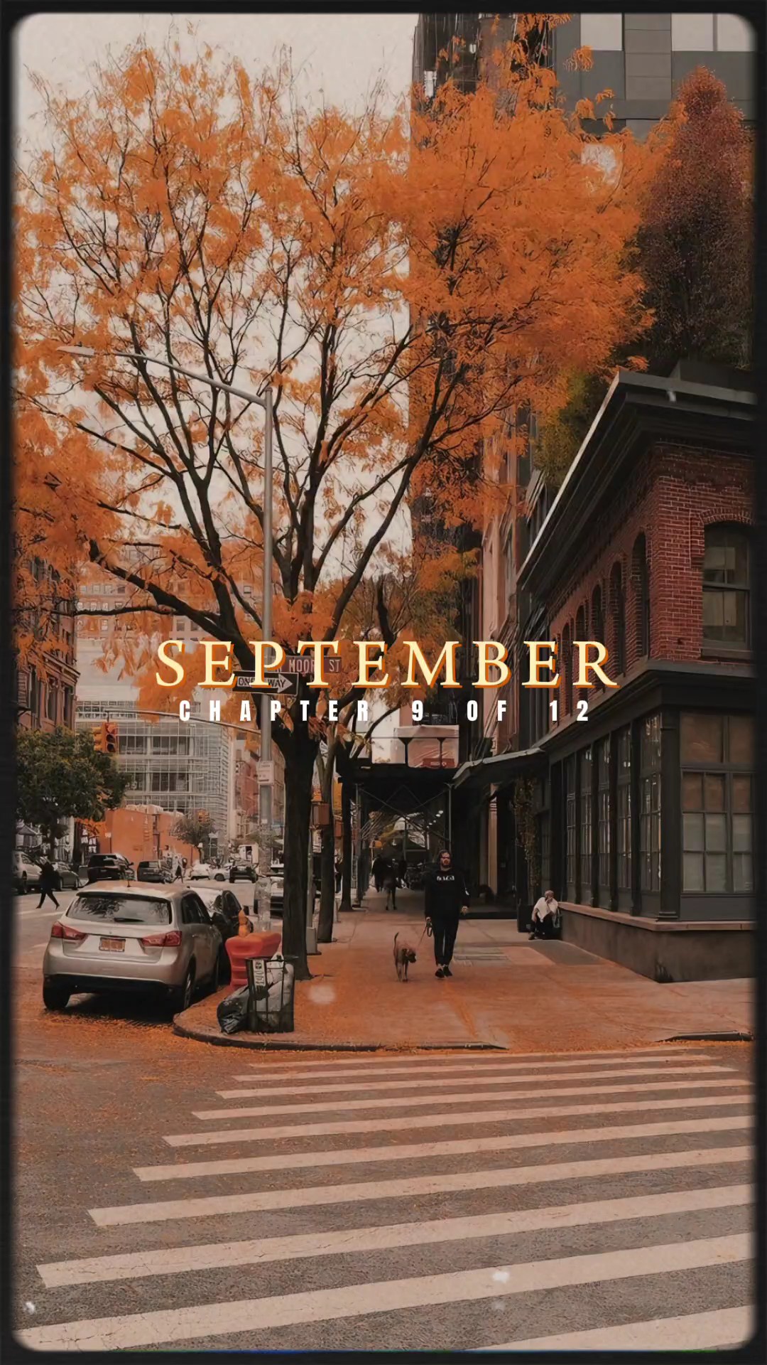 September 9 of 12