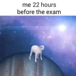 Before the exam