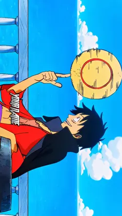 ONE PIECE AESTHETIC