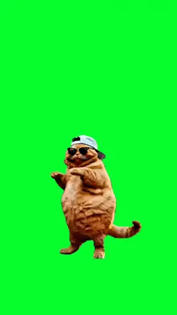fat cat dancing
