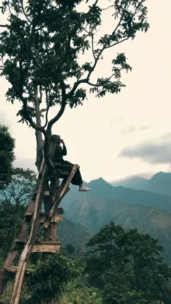 pemandangan