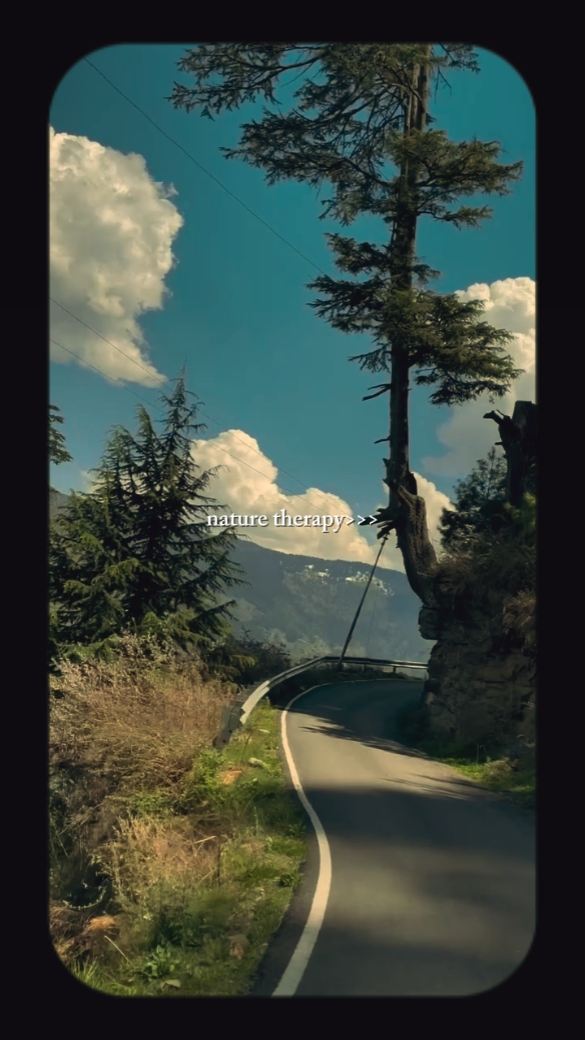NATURE THERAPY 