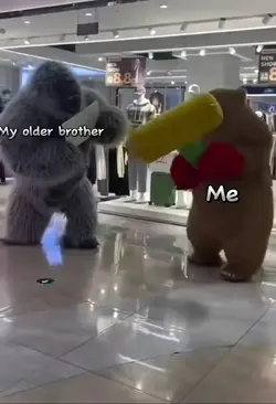 siblings meme