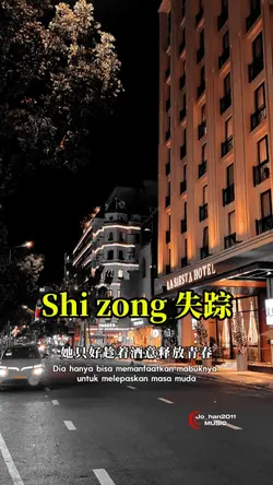 Shi zong 失踪