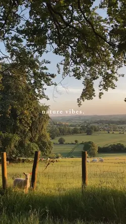 nature vibes 