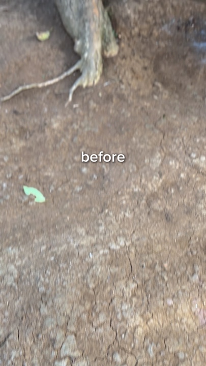 BEFORE AFTER