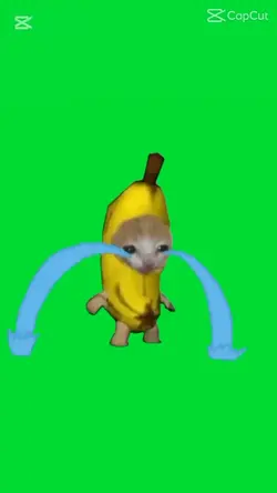 바나나캣 머리 합성
