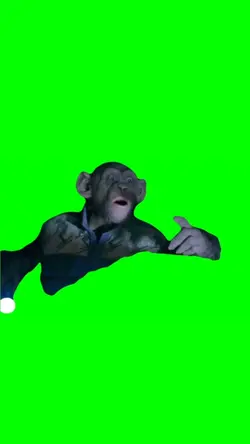 Monkey say ho no 
