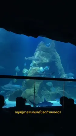 ทฤษฎี