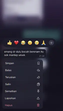 VERSI NO MIRROR