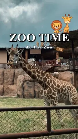Zoo time