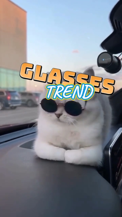 TENDENCIA DE GAFAS
