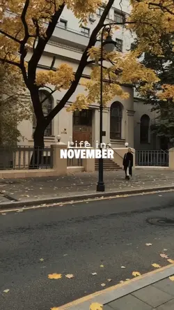life in november
