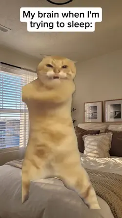 my brain when im try