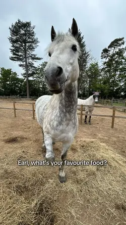 What’s ur fav food..
