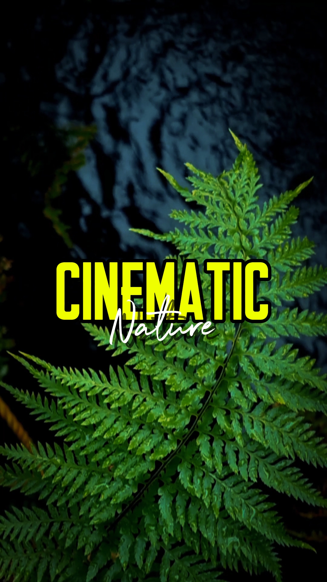 CINEMATIC