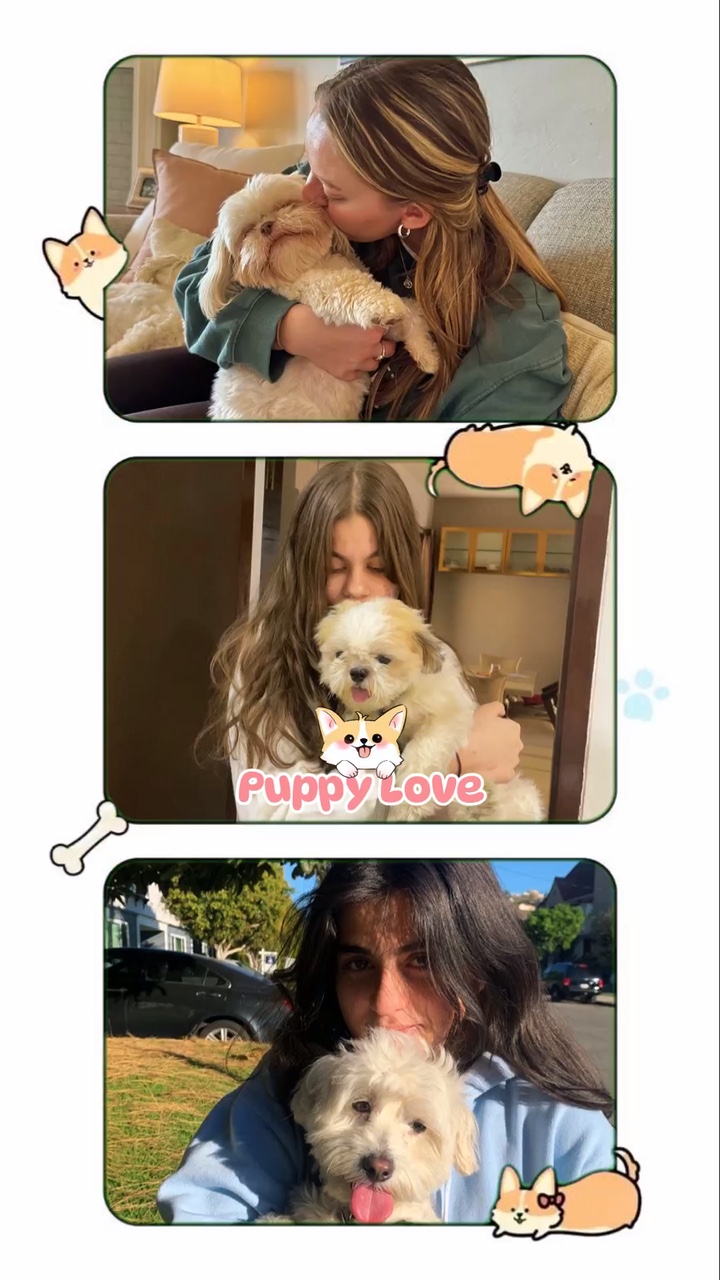 Puppy Love 🐶