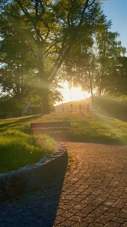 Nature view