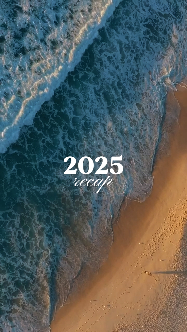 2025 요약