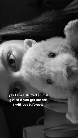 stuffed animal