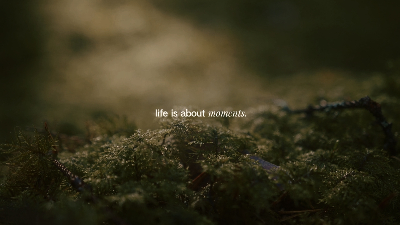 cinematic vlog 
