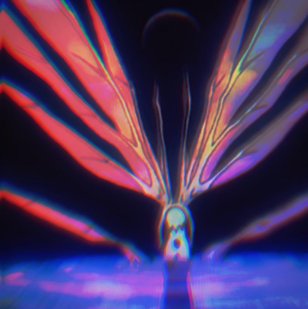 Cover Picture