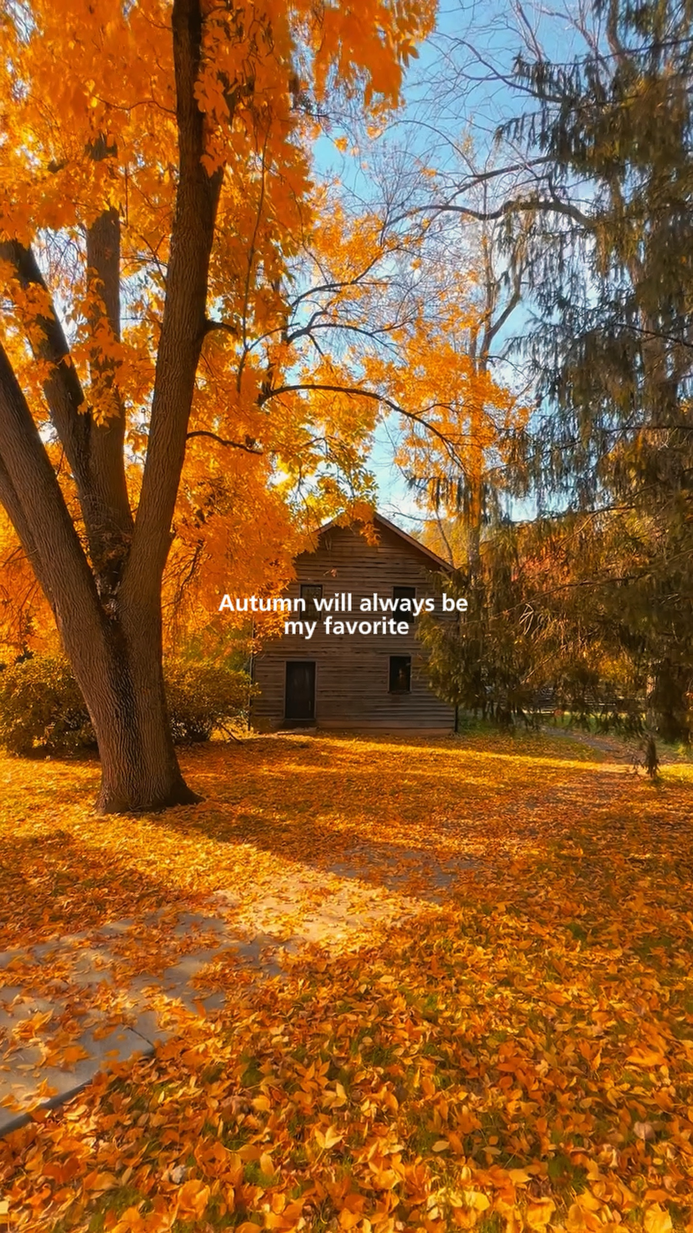 Autumn Forever