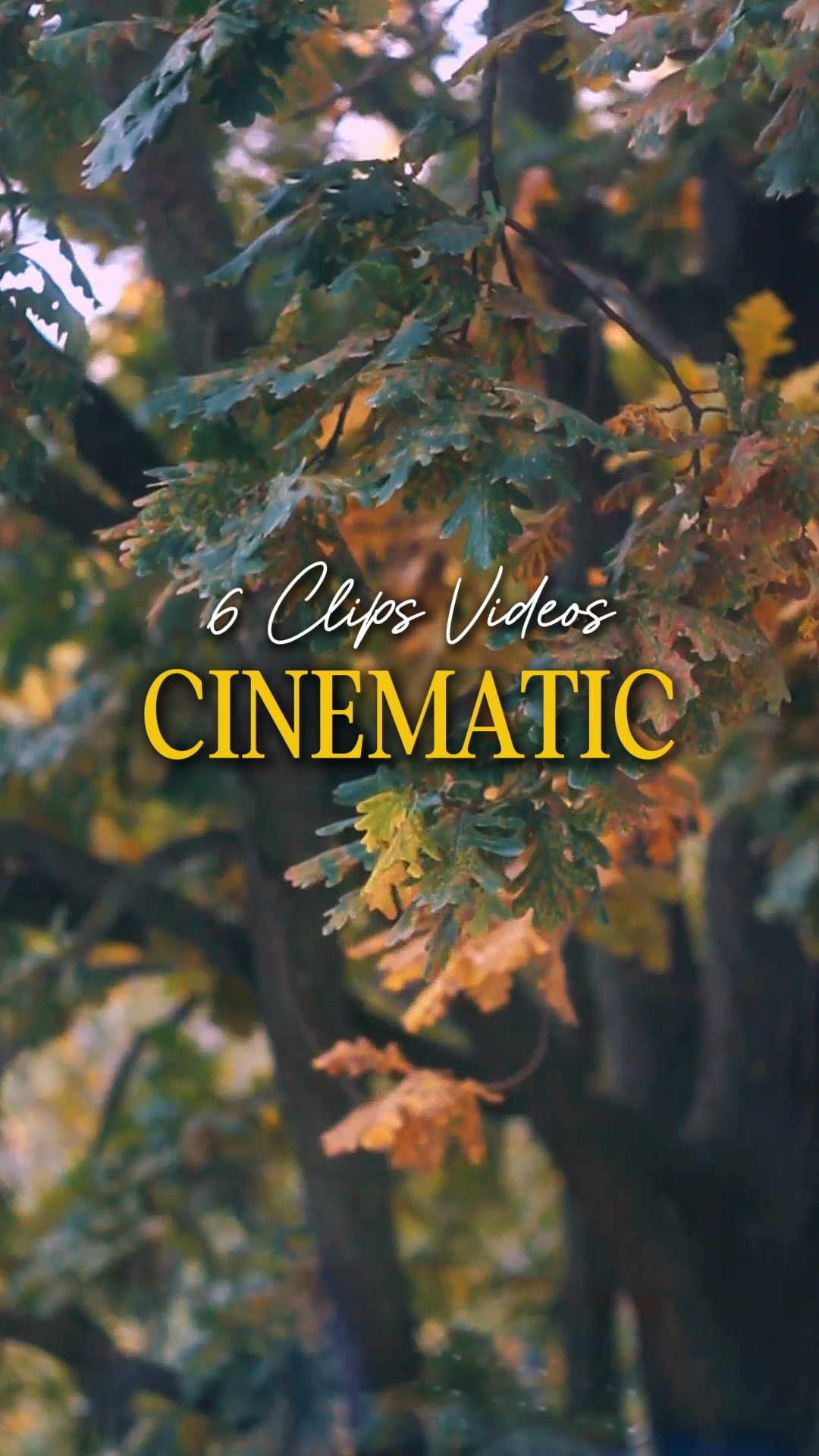 Cinematic 6 Vídeos
