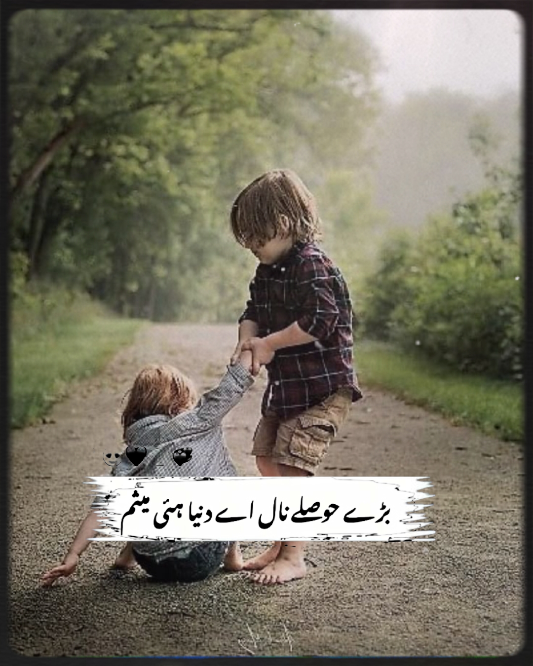 Cover Picture