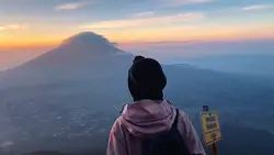 subtitle film 