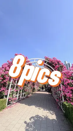 8pics chiến