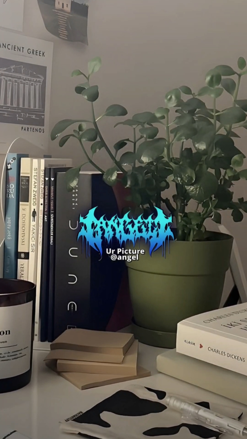 Cover Picture