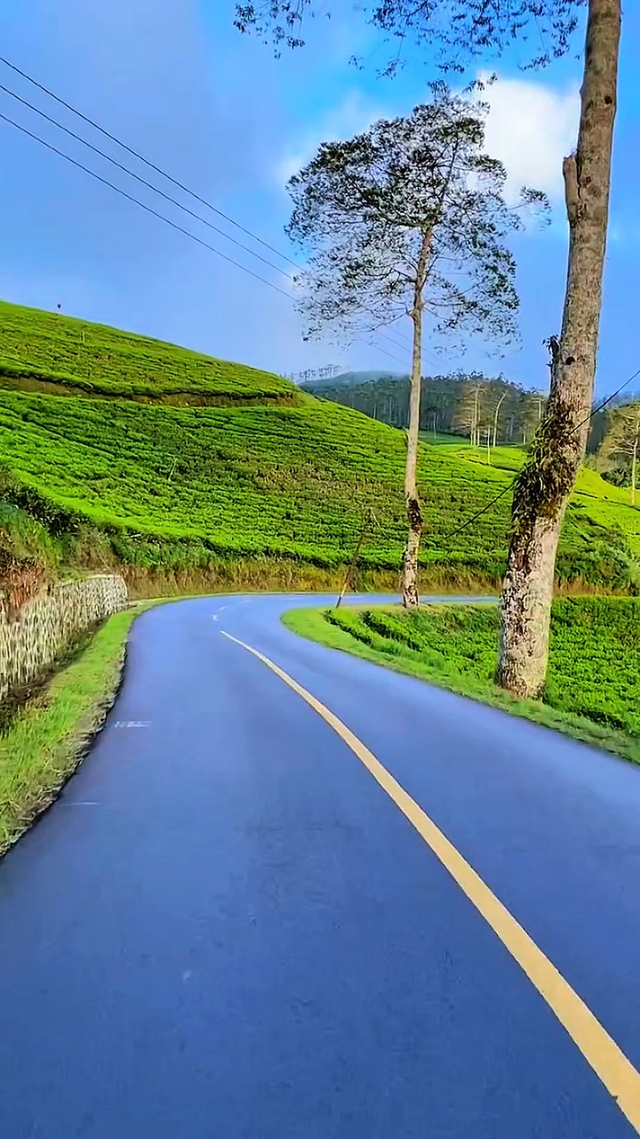 5 video HD travel
