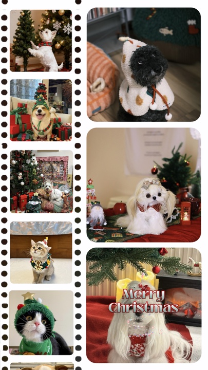 Animal de estimação de natal