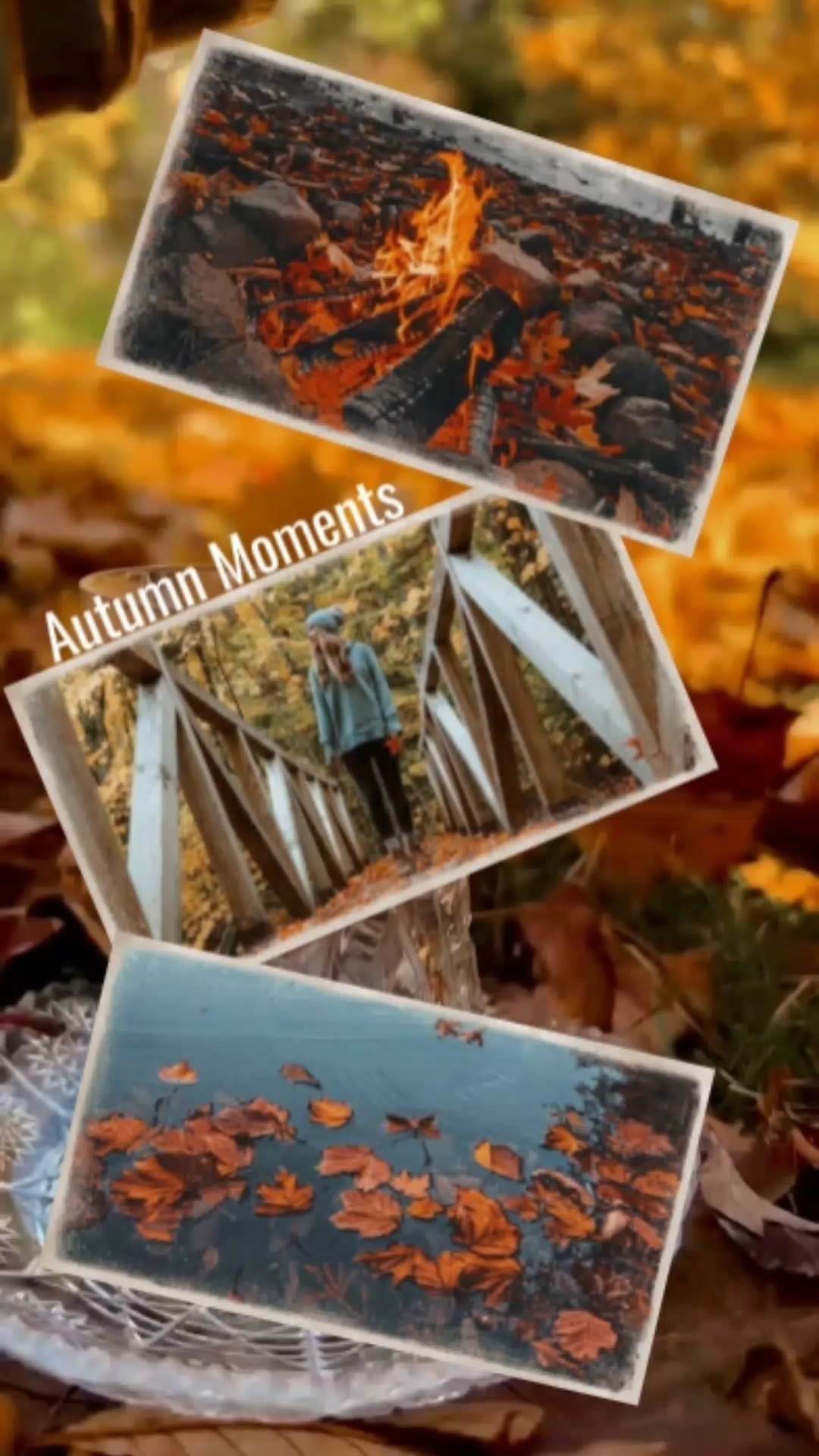 Autumn Moments