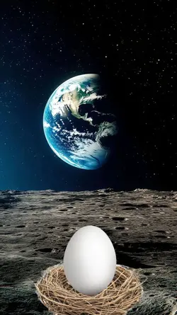 funny happy birthday