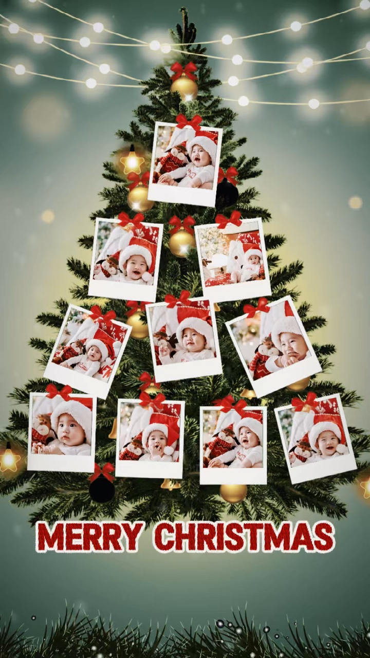 Weihnachtsbaum 
