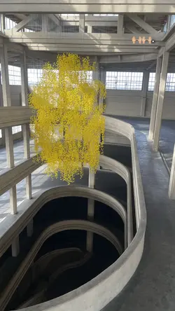 These photos 🙌🏼. 