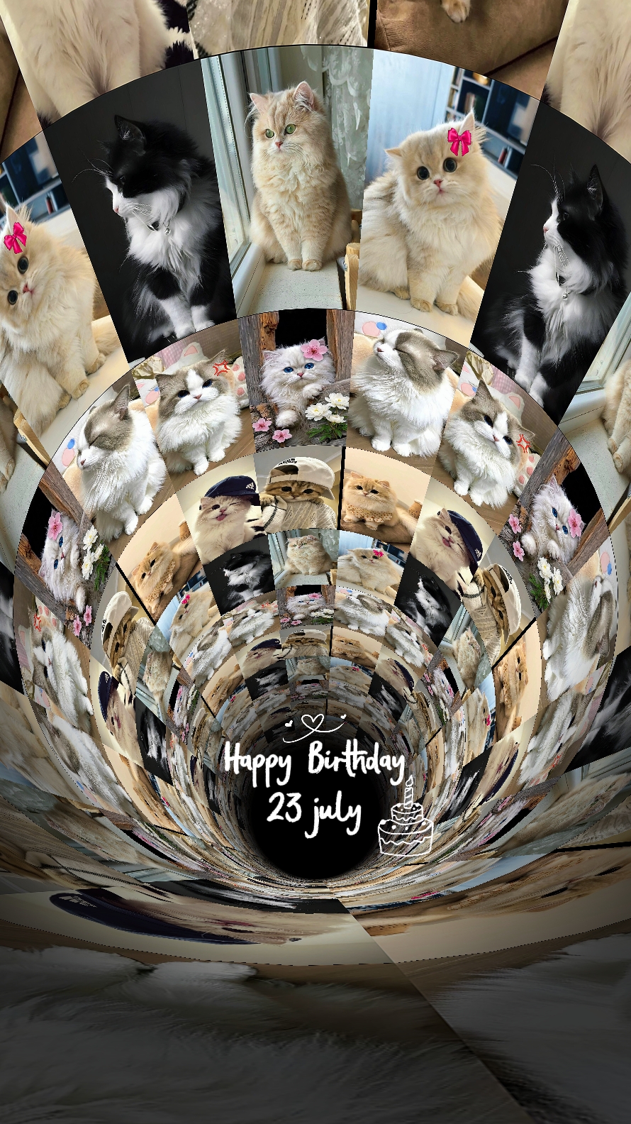 anniversaire 23 juillet
