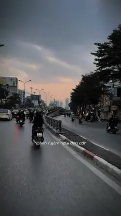 Tết này chẳng thể về