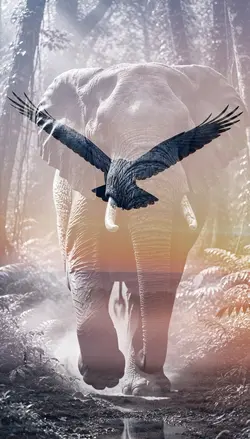 Elephant & raven