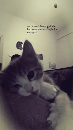 dia sudah menghindar