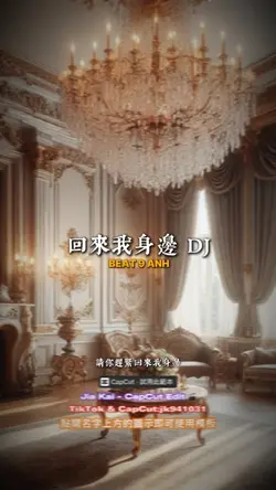 回來我身邊 DJ