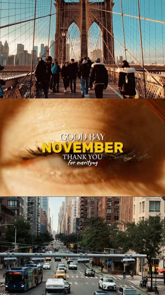 ADEUS NOVEMBRO