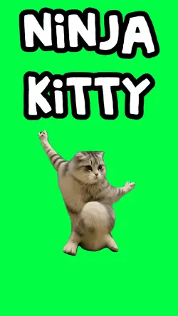 NINJA KITTY