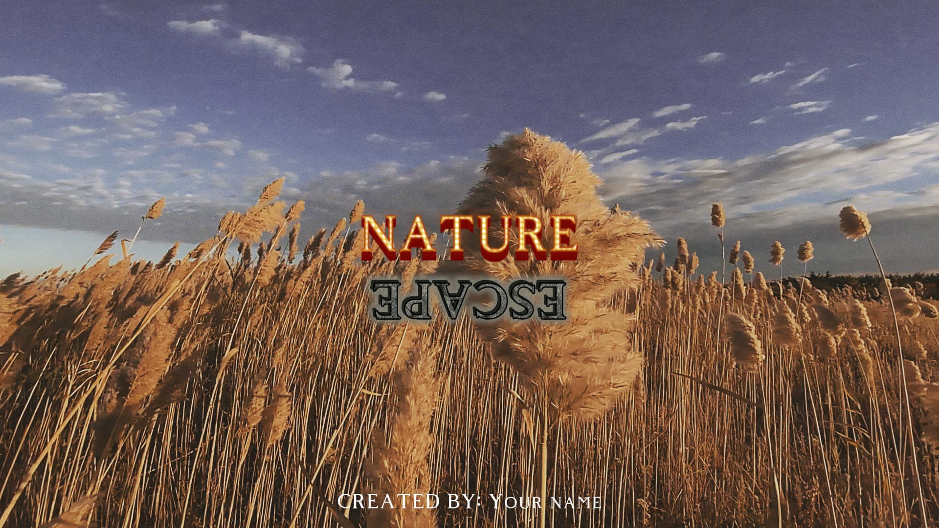 Cover Picture